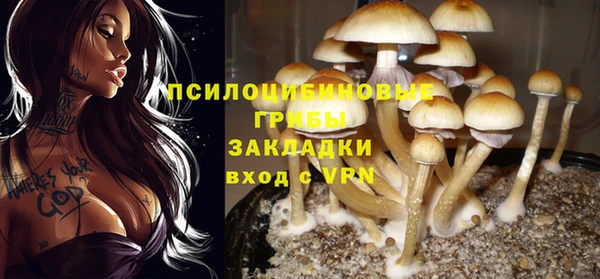 соль курить ск Вяземский